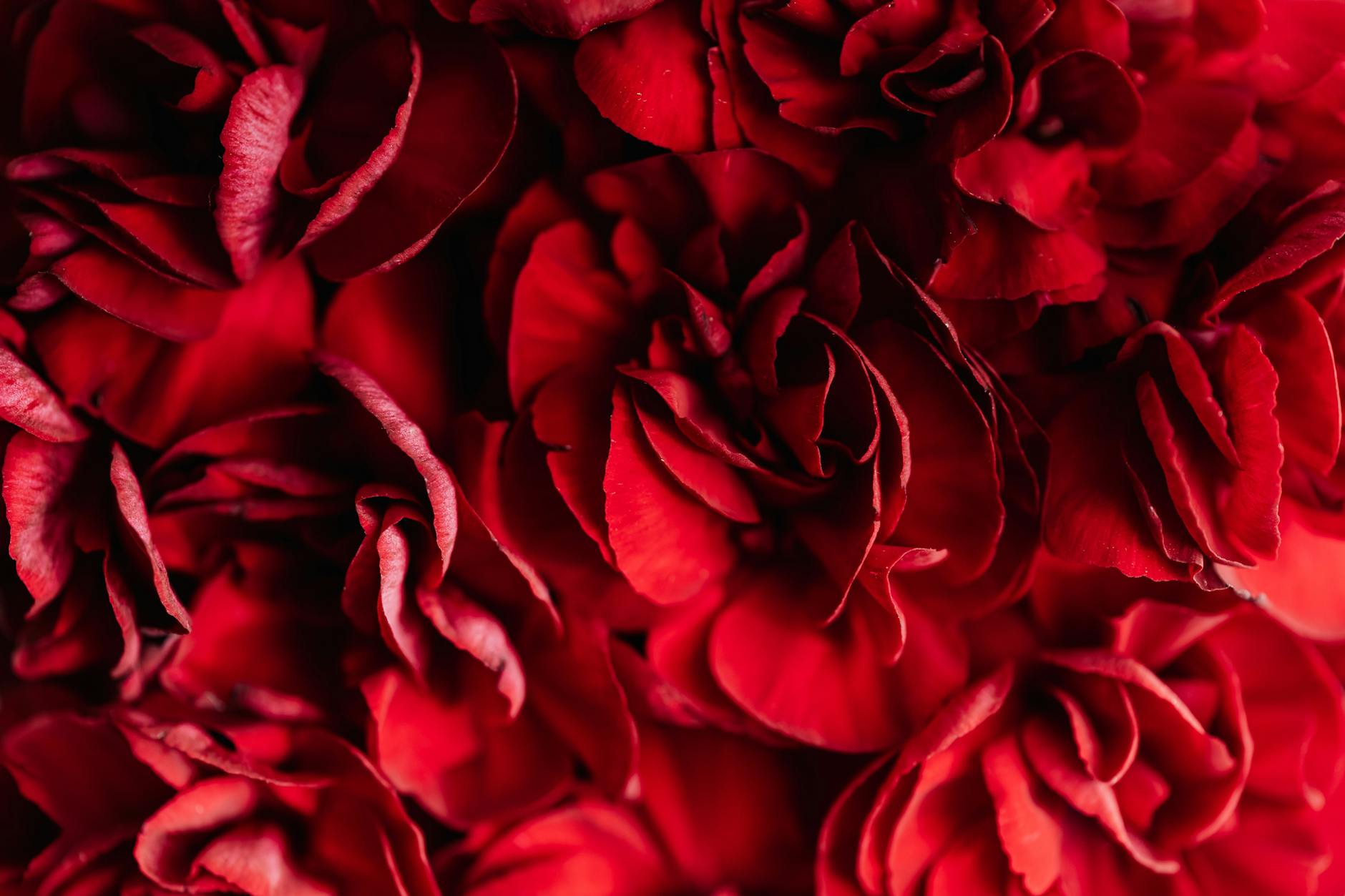 Saturday’s Astrological Real Talk: Better Home and Passion
