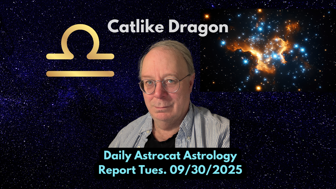 Riding Capricorn Currents: Flow, Focus, and a Cat‑Like Dragon Vibe