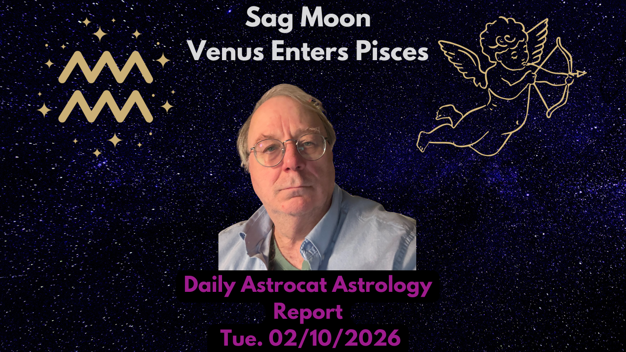 Venus In Pisces, Love In Focus