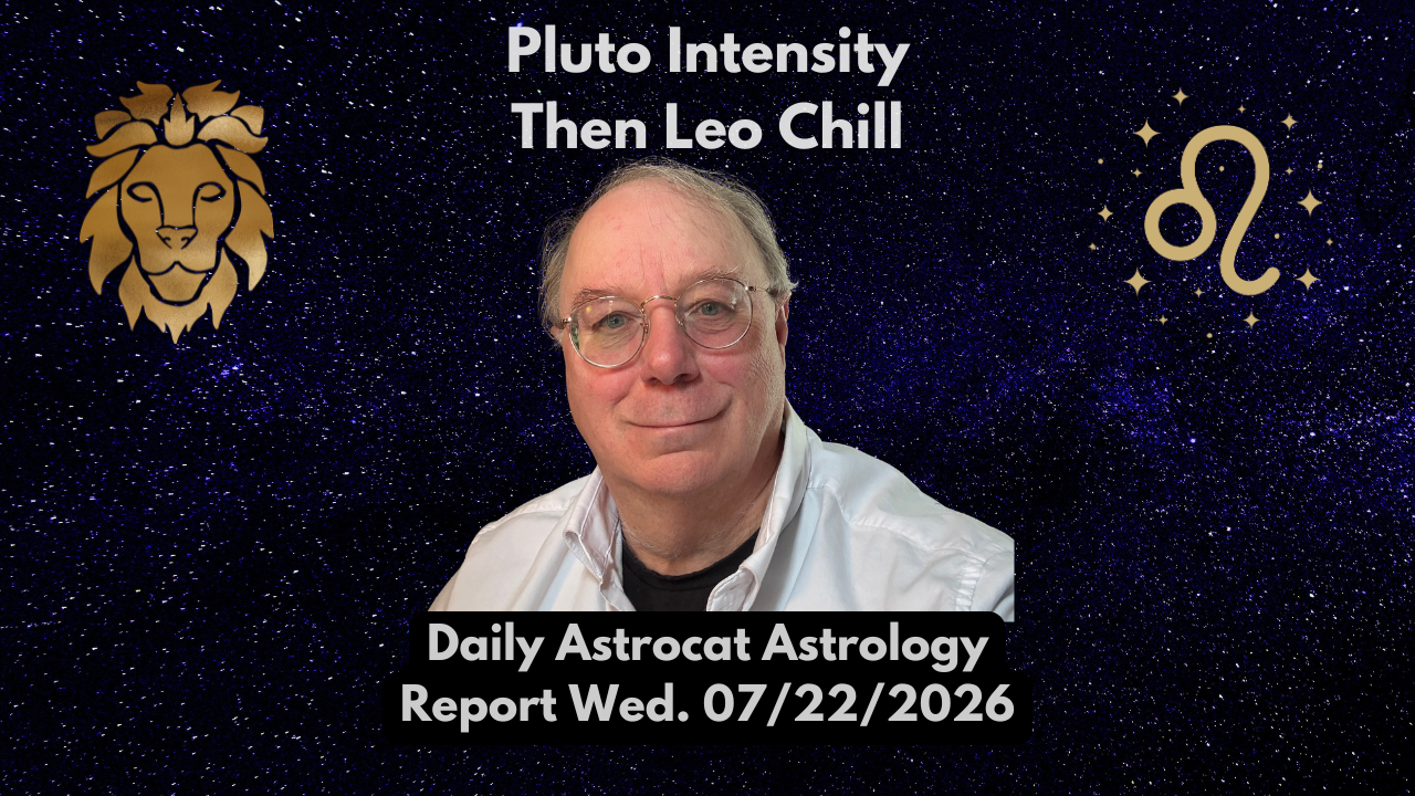 Intense Morning Basking In the Afternoon Sun Welcome to Leo Season